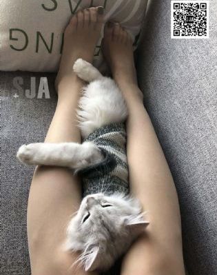 欧美svs分享_HD神马影院在线