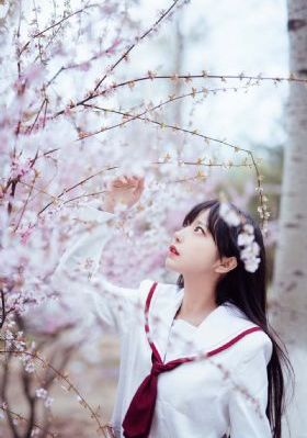 欧美啄木鸟bt种子下载_720全集在线观看